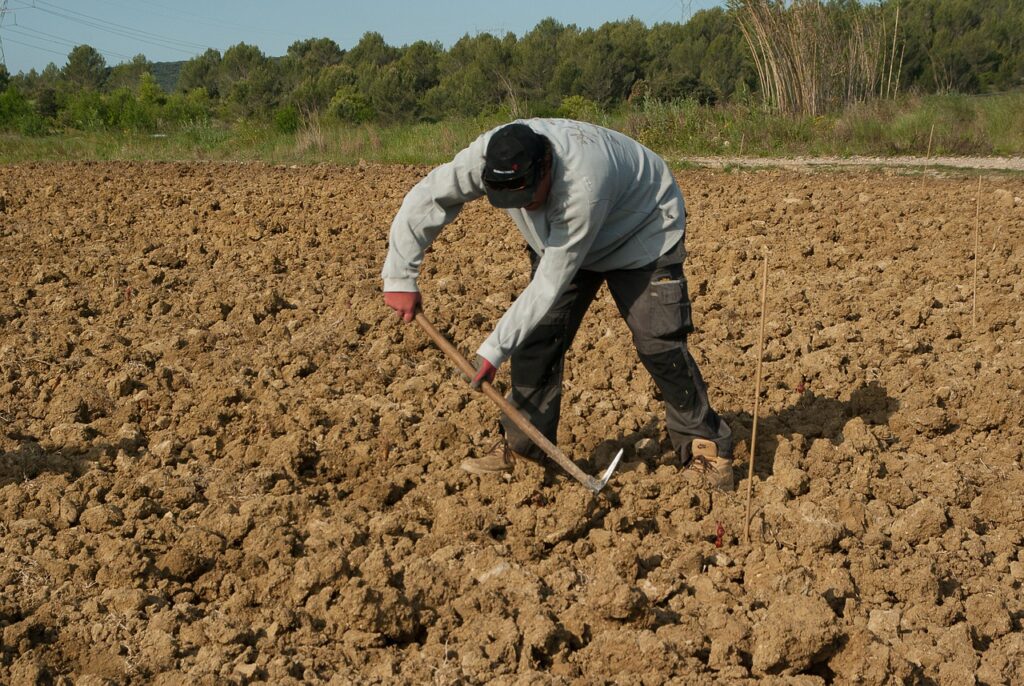 agriculteur